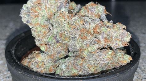 strawberry cherry gelato strain|Cultivar Review: Strawberry Cherry Gelato by Zen Pharm